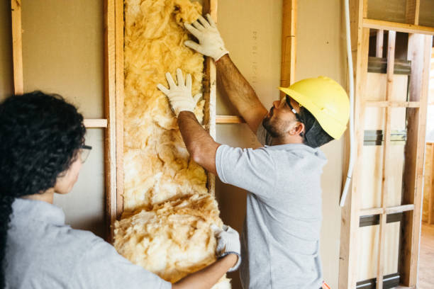 Professional Insulation in Montpelier, OH